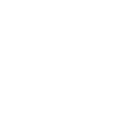 Onsite Programming Support